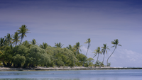 Women's workshop - Diversification of seaweed industries in the Pacific