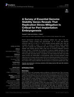 A Survey of Essential Genome Stability Genes Reveals That Replication Stress Mitigation Is Critical for Peri-Implantation Embryogenesis