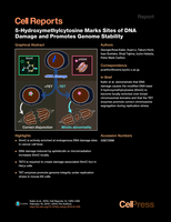 5-Hydroxymethylcytosine Marks Sites of DNA Damage and Promotes Genome Stability