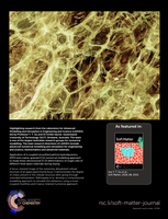 Application of a coupled smoothed particle hydrodynamics (SPH) and coarse-grained (CG) numerical modelling approach to study three-dimensional (3-D) deformations of single cells of different food-plant materials during drying