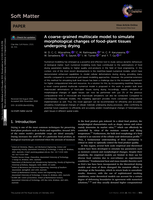 A coarse-grained multiscale model to simulate morphological changes of food-plant tissues undergoing drying