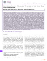 Characterization of ENU-induced mutations in red blood cell structural proteins