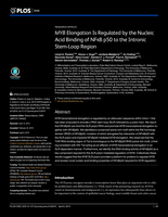 MYB elongation is regulated by the nucleic acid binding of NFekB p50 to the intronic stem-loop region