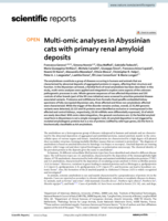 Multi-omic analyses in Abyssinian cats with primary renal amyloid deposits