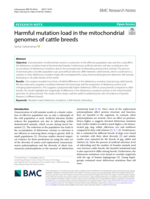 Harmful Mutation Load in the Mitochondrial Genomes of Cattle Breeds