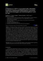 A Deletion in GDF7 is Associated with a Heritable Forebrain Commissural Malformation Concurrent with Ventriculomegaly and Interhemispheric Cysts in Cats