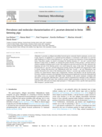 Prevalence and molecular characterization of C. pecorum detected in Swiss fattening pigs