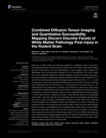 Combined Diffusion Tensor Imaging and Quantitative Susceptibility Mapping Discern Discrete Facets of White Matter Pathology Post-injury in the Rodent Brain