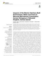 Impacts of the Marine Hatchery Built Environment, Water and Feed on Mucosal Microbiome Colonization Across Ontogeny in Yellowtail Kingfish, Seriola lalandi