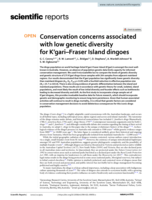 Conservation concerns associated with low genetic diversity for K’gari–Fraser Island dingoes