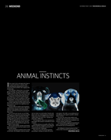 Animal Instincts
