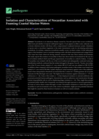 Isolation and Characterization of Nocardiae Associated with Foaming Coastal Marine Waters