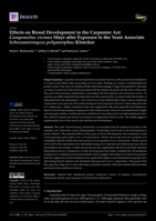 Effects on Brood Development in the Carpenter Ant Camponotus vicinus Mayr after Exposure to the Yeast Associate Schwanniomyces polymorphus Kloecker
