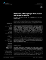 Metformin, Macrophage Dysfunction and Atherosclerosis