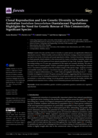 Clonal Reproduction and Low Genetic Diversity in Northern Australian Santalum lanceolatum (Santalaceae) Populations Highlights the Need for Genetic Rescue of This Commercially Significant Species