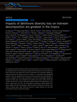 Impacts of detritivore diversity loss on instream decomposition are greatest in the tropics