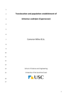 Translocation and population establishment of Schoenus scabripes (Cyperaceae)
