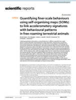 Quantifying finer-scale behaviours using self-organising maps (SOMs) to link accelerometery signatures with behavioural patterns in free-roaming terrestrial animals