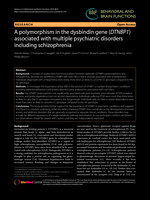 A polymorphism in the dysbindin gene (DTNBP1) associated with multiple psychiatric disorders including schizophrenia
