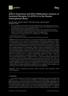 mRNA Expression and DNA Methylation Analysis of Serotonin Receptor 2A (HTR2A) in the Human Schizophrenic Brain