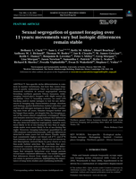 Sexual segregation of gannet foraging over 11 years: movements vary but isotopic differences remain stable