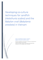 Developing co-culture techniques for sandfish (Holothuria scabra) and the Babylon snail (Babylonia areolata) in Vietnam