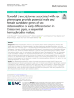 Gonadal transcriptomes associated with sex phenotypes provide potential male and female candidate genes of sex determination or early differentiation in Crassostrea gigas, a sequential hermaphrodite mollusc