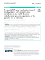 Frequent tRNA gene translocation towards the boundaries with control regions contributes to the highly dynamic mitochondrial genome organization of the parasitic lice of mammals