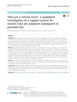 “Not just a normal mum”: a qualitative investigation of a support service for women who are pregnant subsequent to perinatal loss