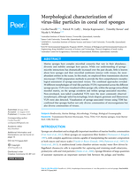 Morphological characterization of virus-like particles in coral reef sponges