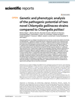Genetic and phenotypic analysis of the pathogenic potential of two novel Chlamydia gallinacea strains compared to Chlamydia psittaci