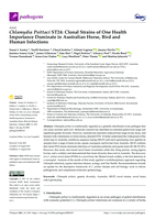 Chlamydia Psittaci ST24: Clonal Strains of One Health Importance Dominate in Australian Horse, Bird and Human Infections