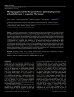 Micropropagation of the therapeutic-honey plants Leptospermum polygalifolium and L. scoparium (Myrtaceae)