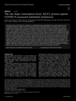 The zinc finger transcription factor, KLF2, protects against COVID-19 associated endothelial dysfunction