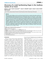 Discovery of a lipid synthesising organ in the auditory system of an insect