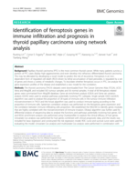 Identification of ferroptosis genes in immune infiltration and prognosis in thyroid papillary carcinoma using network analysis