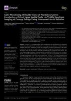 Early Monitoring of Health Status of Plantation-Grown Eucalyptus pellita at Large Spatial Scale via Visible Spectrum Imaging of Canopy Foliage Using Unmanned Aerial Vehicles