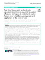 Real-time fluorometric and end-point colorimetric isothermal assays for detection of equine pathogens C. psittaci and equine herpes virus 1: validation, comparison and application at the point of care