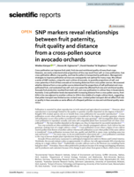 SNP markers reveal relationships between fruit paternity, fruit quality and distance from a cross‑pollen source in avocado orchards