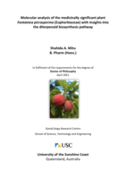Molecular analysis of the medicinally significant plant Fontainea picrosperma (Euphorbiaceae) with insights into the diterpenoid biosynthesis pathway
