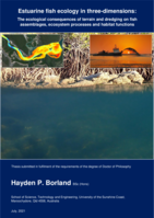 Estuarine fish ecology in three-dimensions: The ecological consequences of terrain and dredging on fish assemblages, ecosystem processes and habitat functions