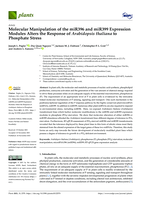 Molecular Manipulation of the miR396 and miR399 Expression Modules Alters the Response of Arabidopsis thaliana to Phosphate Stress