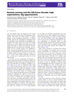 Remote sensing and the UN Ocean Decade: high expectations, big opportunities