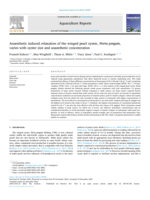 Anaesthetic induced relaxation of the winged pearl oyster, Pteria penguin, varies with oyster size and anaesthetic concentration