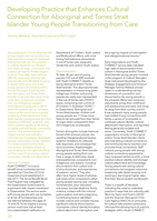 Developing Practice that Enhances Cultural Connection for Aboriginal and Torres Strait Islander Young People Transitioning from Care