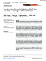 Emerging and well-characterised chlamydial infections detected in a wide range of wild Australian birds