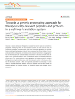 Towards a generic prototyping approach for therapeutically-relevant peptides and proteins in a cell-free translation system