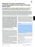 Multitarget nociceptor sensitization by a promiscuous peptide from the venom of the King Baboon spider