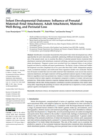 Infant Developmental Outcomes: Influence of Prenatal Maternal-Fetal Attachment, Adult Attachment, Maternal Well-Being, and Perinatal Loss