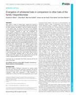 Energetics of whiskered bats in comparison to other bats of the family Vespertilionidae